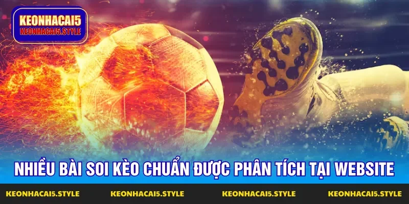 cac chuyen gia tren website mang den nhieu bai soi keo chuan xac