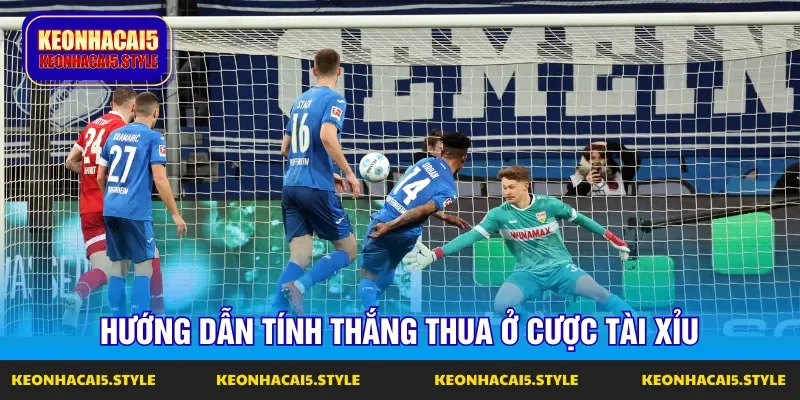 cach choi chi tiet cho lua chon keo tai xiu