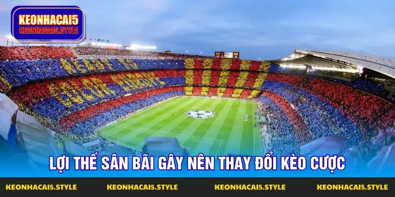 yeu to san bai gay su anh huong len ty le keo dau xuat hien yeu to san bai gay su anh huong len ty le keo dau xuat hien