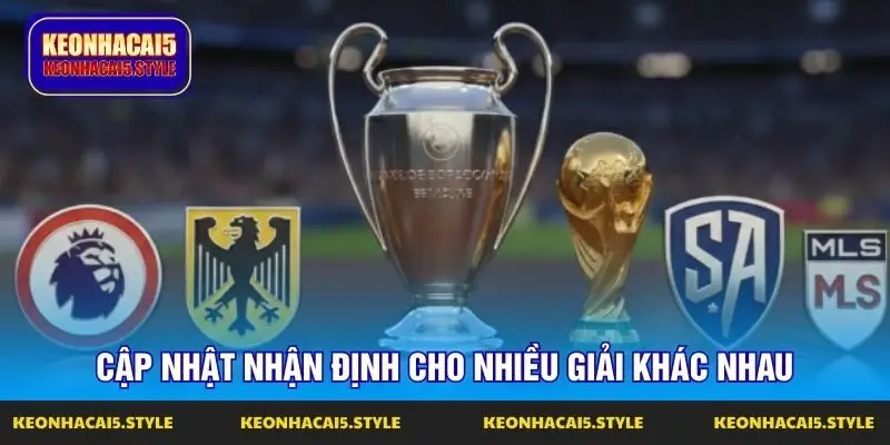 cap nhat nhan dinh cho nhieu giai khac nhau cap nhat nhan dinh cho nhieu giai khac nhau