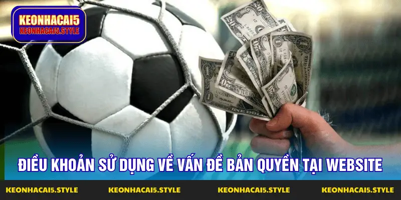 dieu khoan su dung ve van de ban quyen tai website dieu khoan su dung ve van de ban quyen tai website