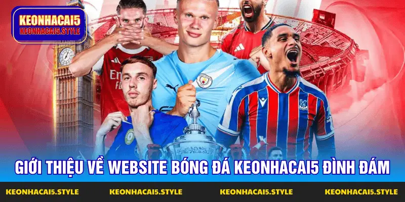 gioi thieu ve website bong da keonhacai5 dinh dam gioi thieu ve website bong da keonhacai5 dinh dam