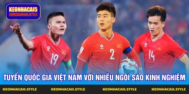 tuyen viet nam van se su dung bo khung nhieu kinh nghiem